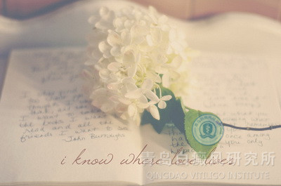 �����²���������Щ��