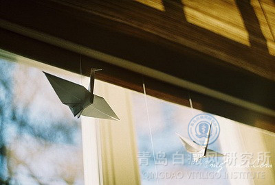 主要哪些原因引发了白癜风呢