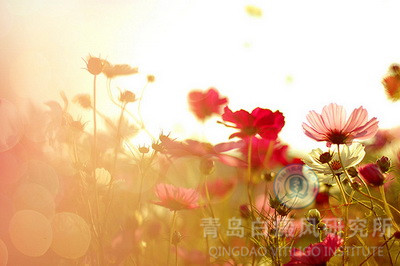 ���緢����ʲôԭ��������