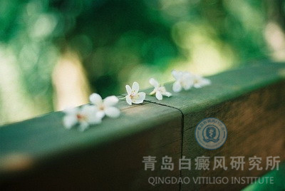 ���絽������Щ��Ϸ���